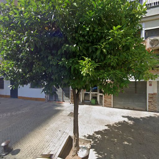 Papelería Amparo
