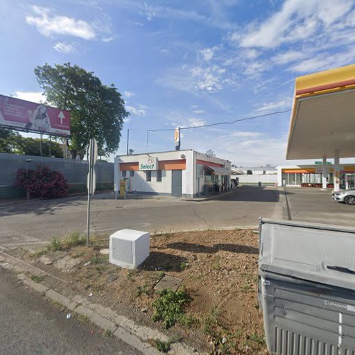Shell Rana Chica