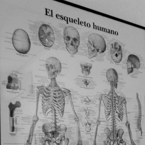 QUIROMASAJE & OSTEOPATIA FARIÑA