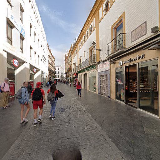 Homeopatía – Dra. María Jesús Galán Dueñas, Médico Homeópata, Sevilla
